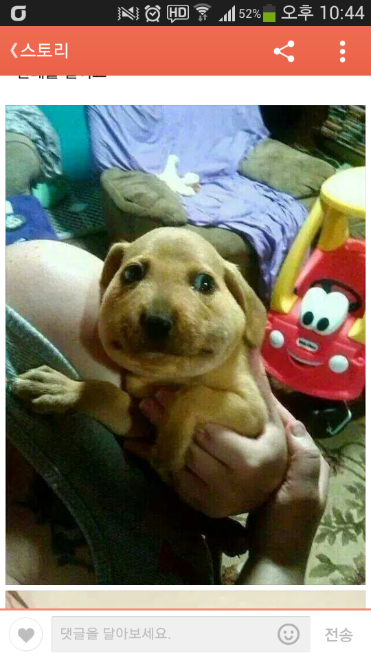 포스트의 이미지