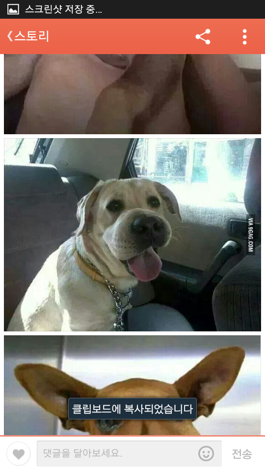 포스트의 이미지