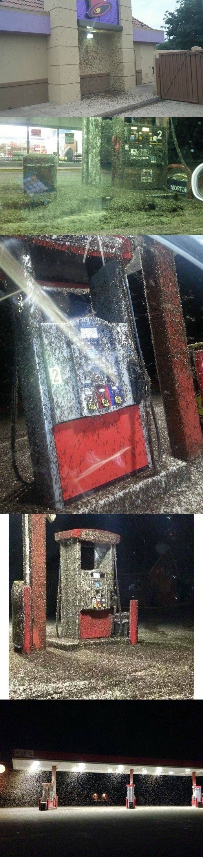 포스트의 이미지