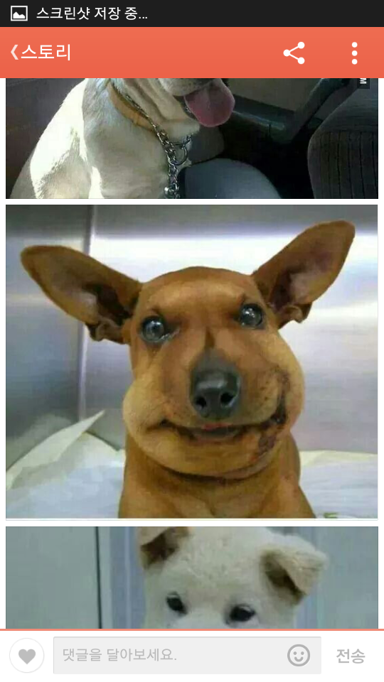 포스트의 이미지