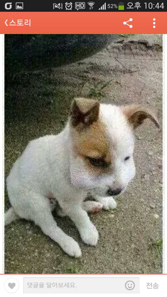 포스트의 이미지