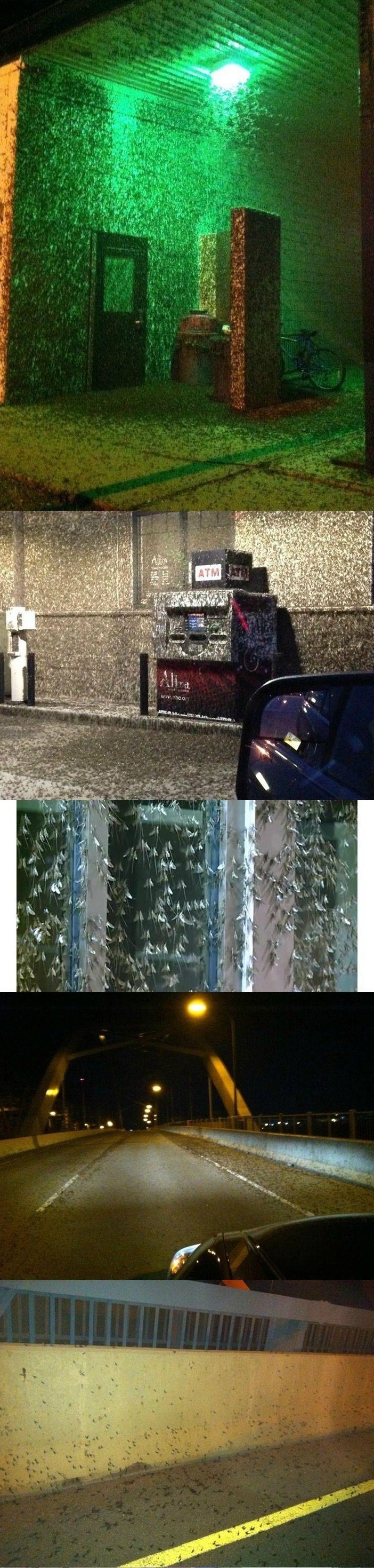 포스트의 이미지