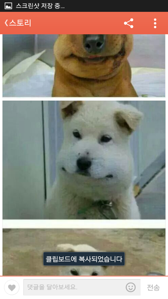 포스트의 이미지