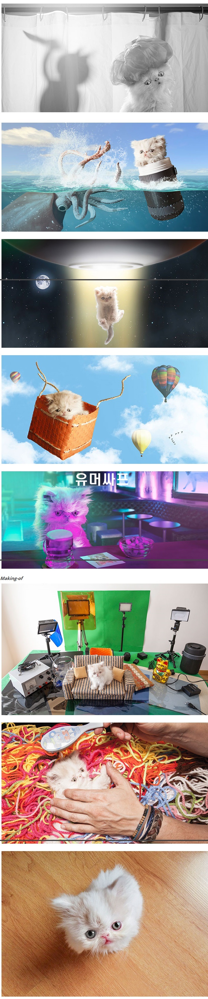 포스트의 이미지