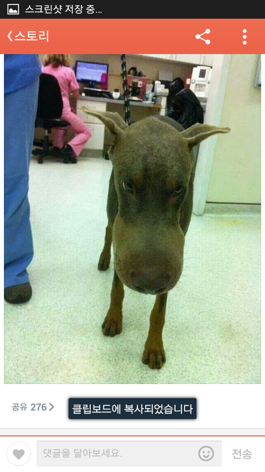 포스트의 이미지