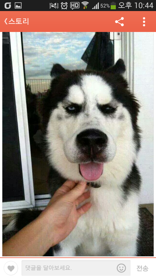 포스트의 이미지