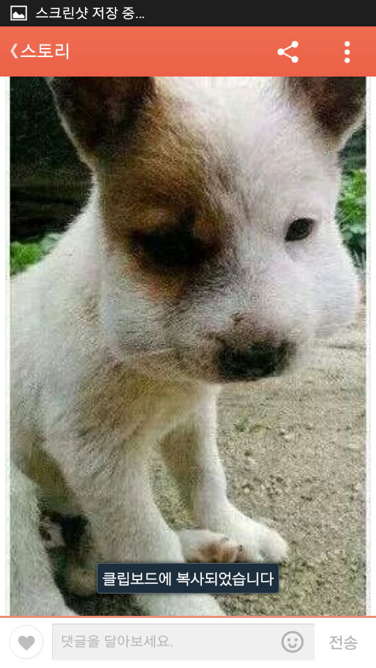 포스트의 이미지