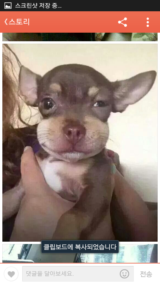 포스트의 이미지