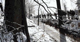 포스트의 이미지