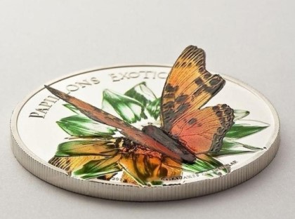 포스트의 이미지