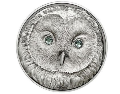 포스트의 이미지