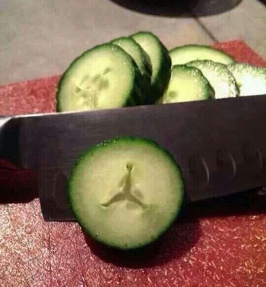 포스트의 이미지