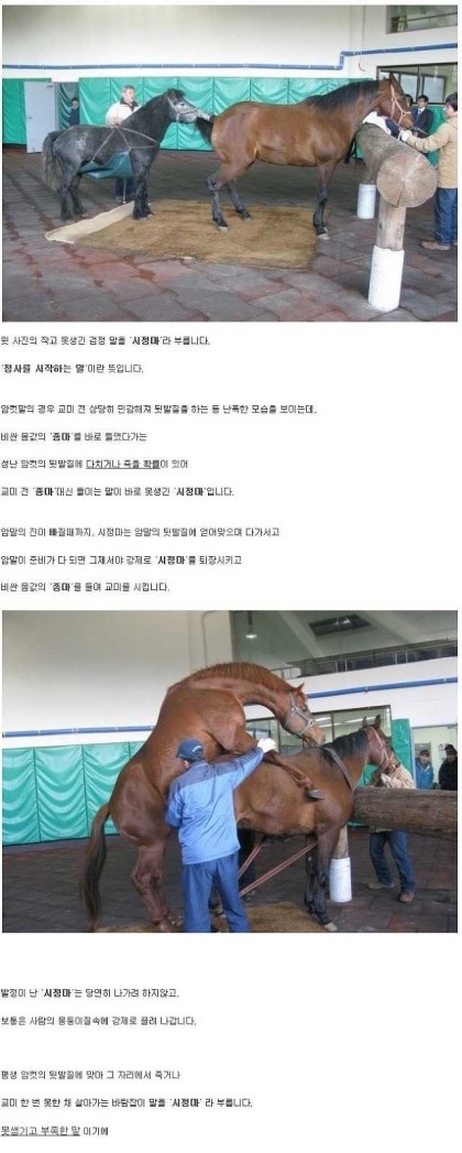 포스트의 이미지