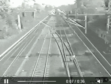 포스트의 이미지