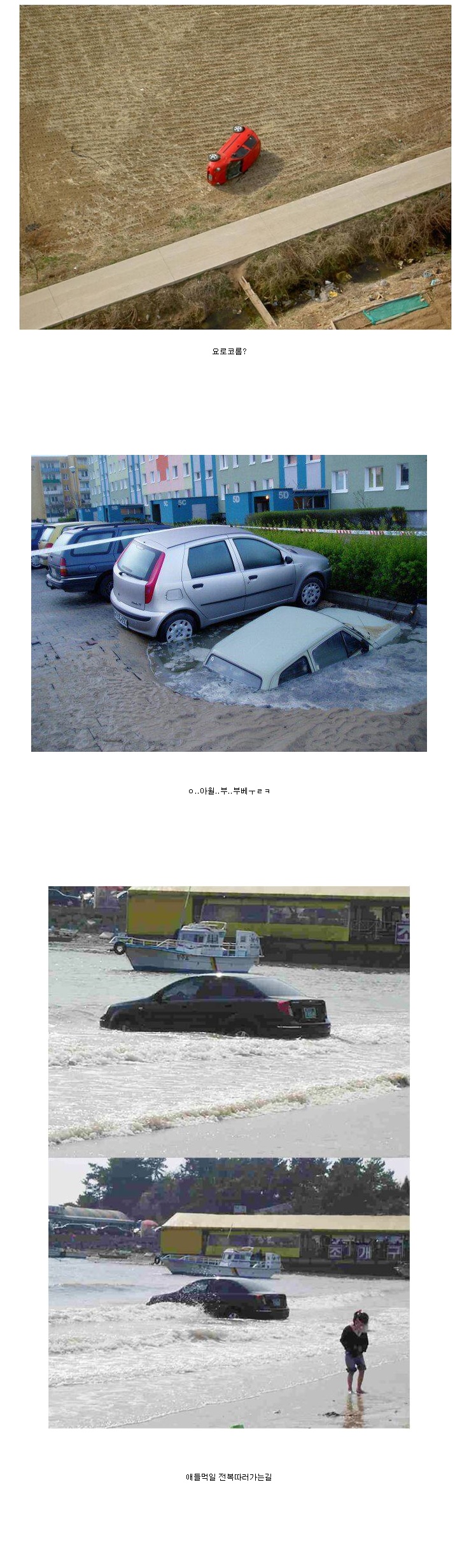 포스트의 이미지