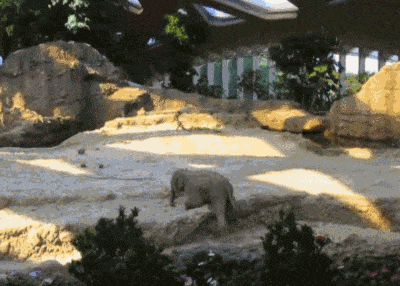 포스트의 이미지