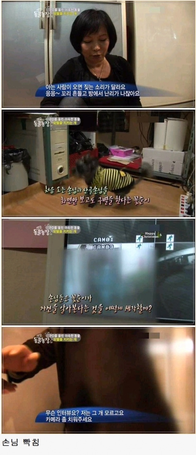 포스트의 이미지