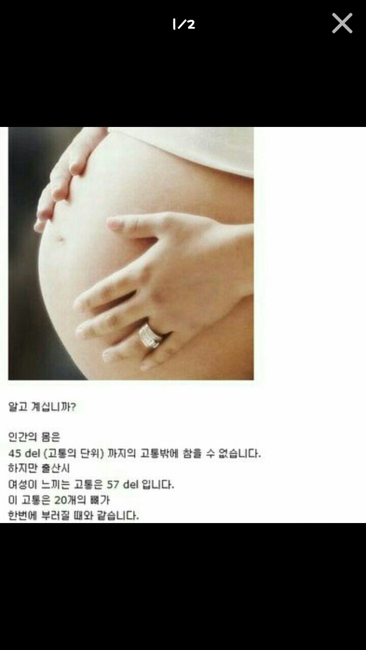 포스트의 이미지