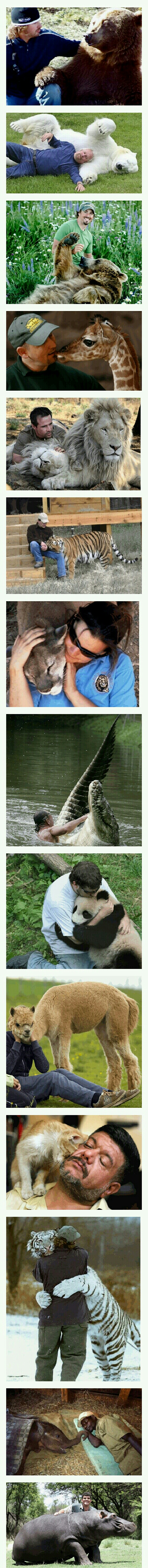 포스트의 이미지