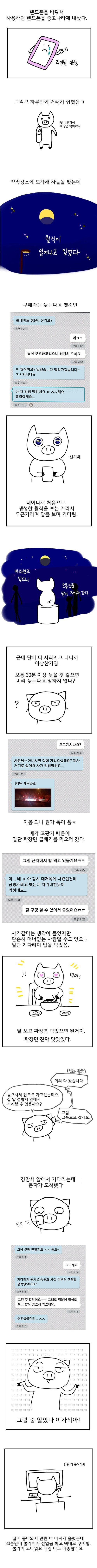 포스트의 이미지