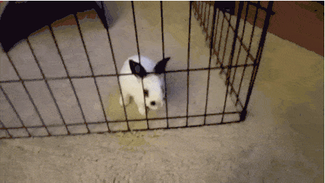 포스트의 이미지