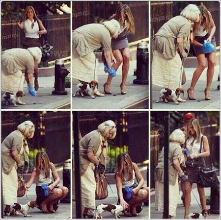 포스트의 이미지