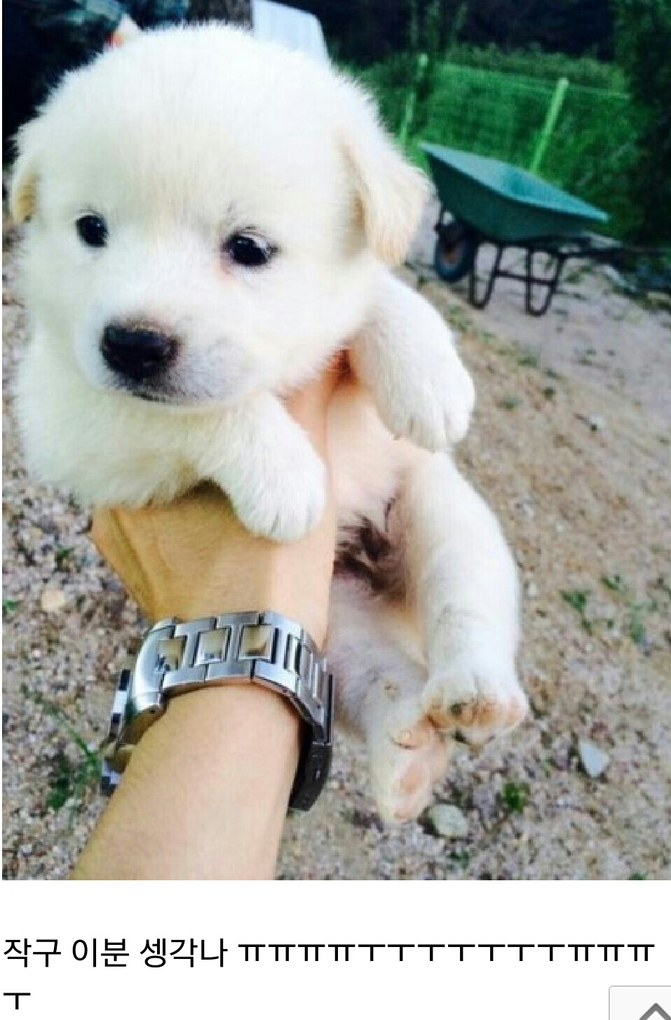 포스트의 이미지