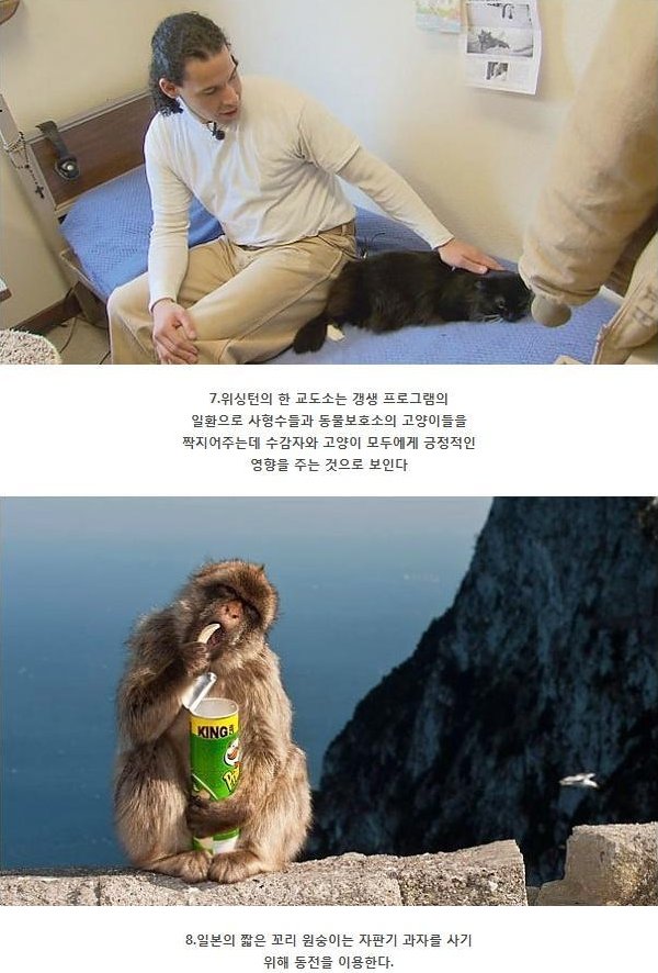 포스트의 이미지