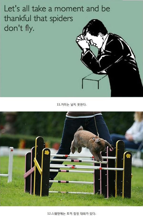 포스트의 이미지