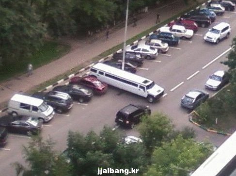 포스트의 이미지