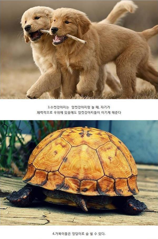 포스트의 이미지