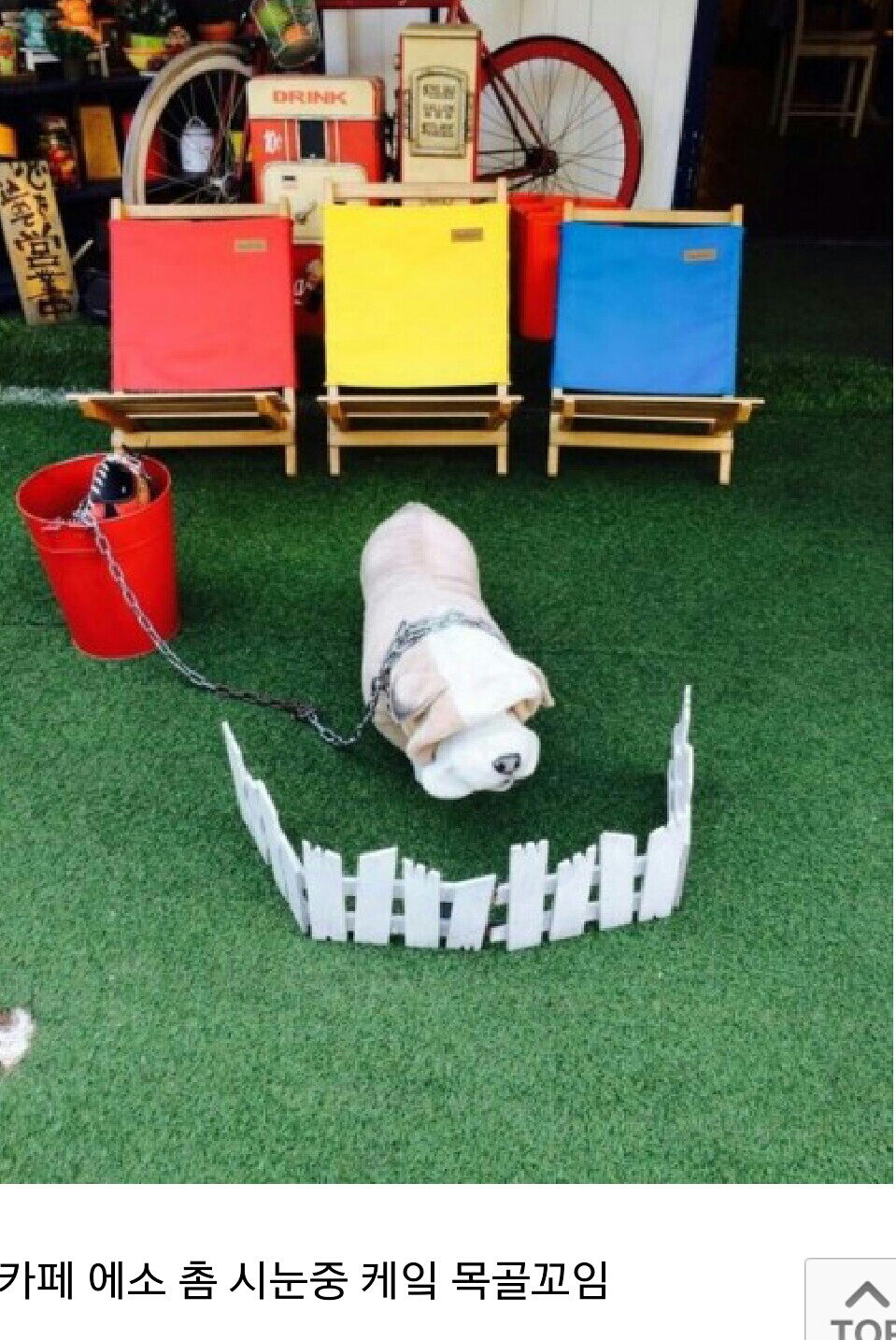 포스트의 이미지