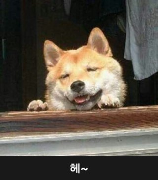 포스트의 이미지