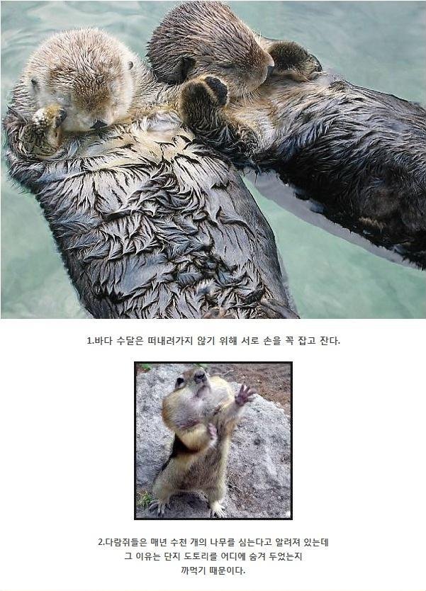 포스트의 이미지