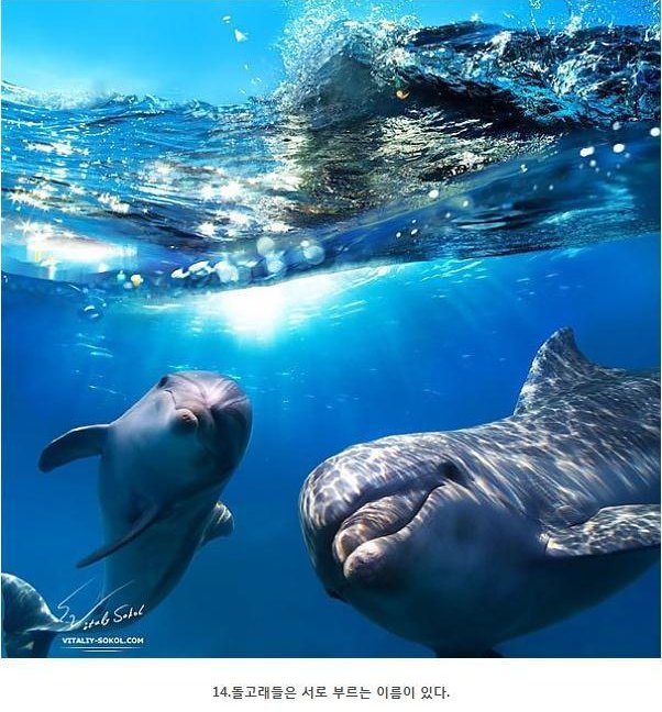 포스트의 이미지