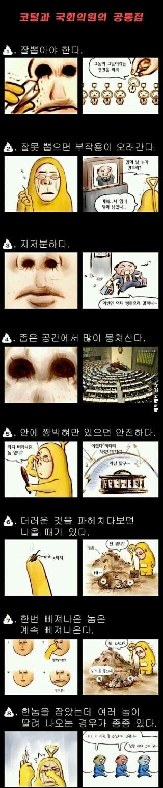 포스트의 이미지