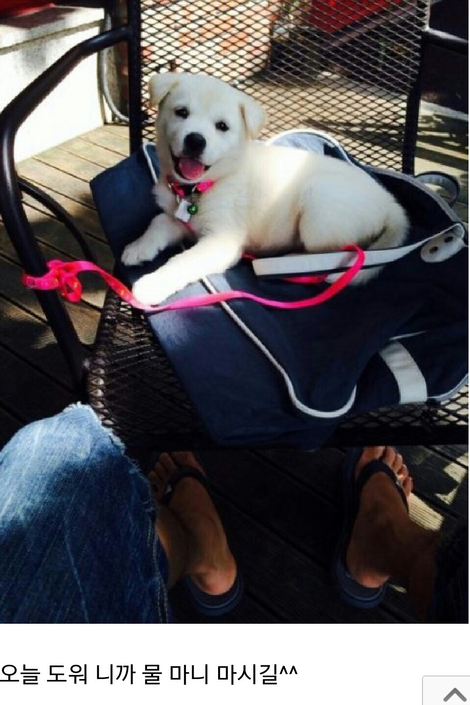 포스트의 이미지