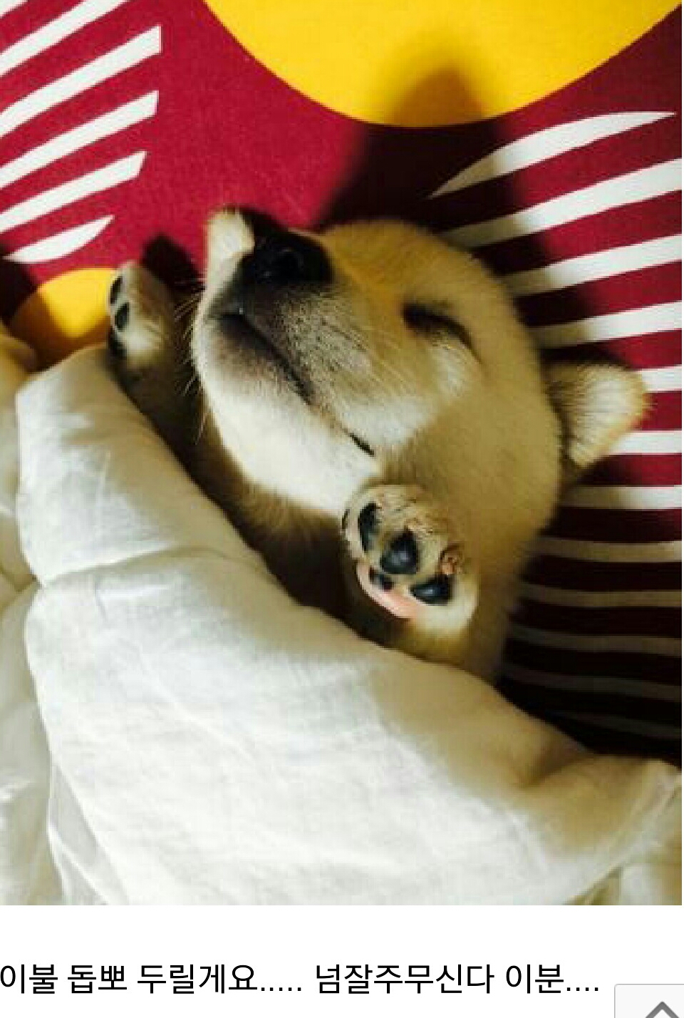 포스트의 이미지