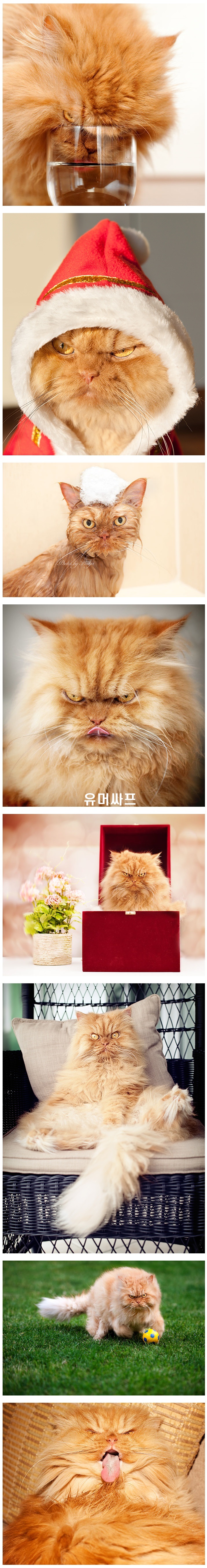 포스트의 이미지