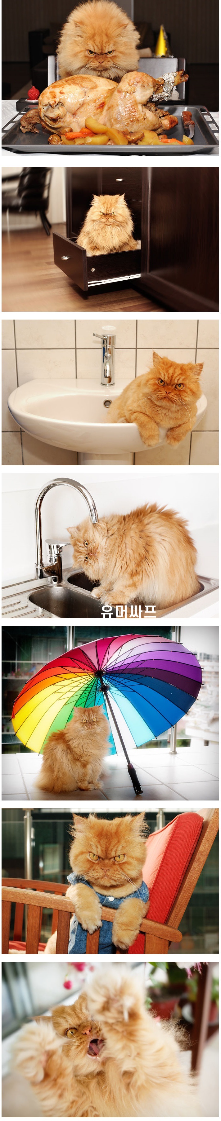 포스트의 이미지