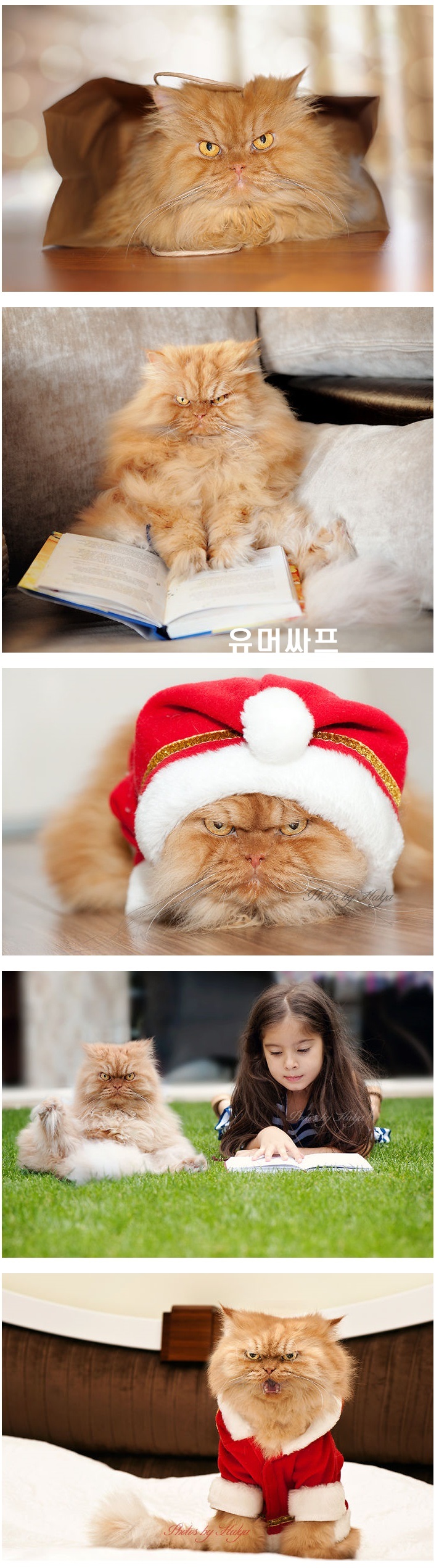 포스트의 이미지