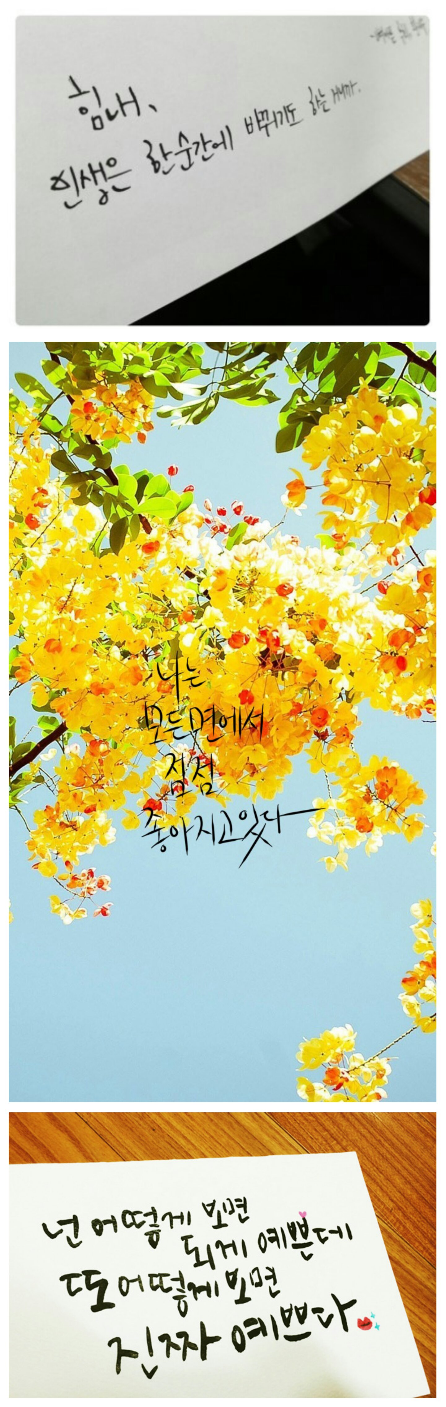 포스트의 이미지