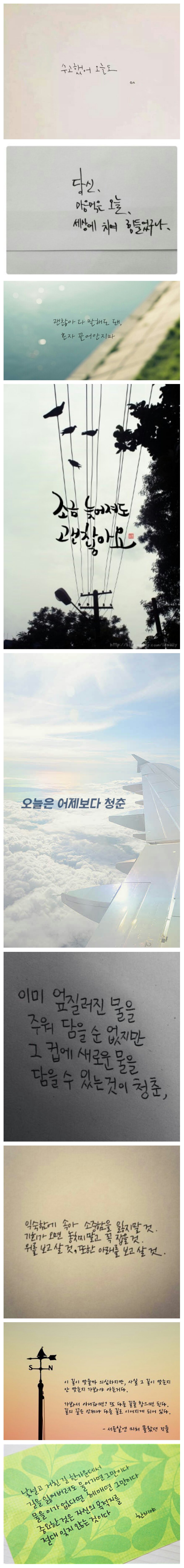 포스트의 이미지