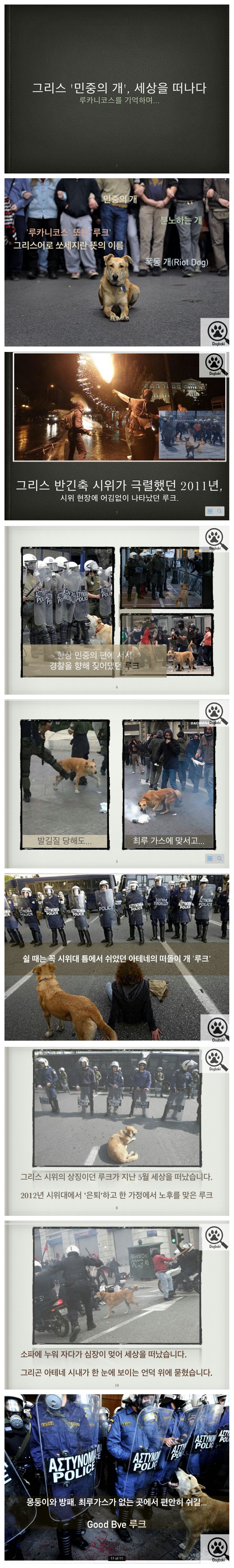 그리스 '민중의 개' 세상을 떠나다