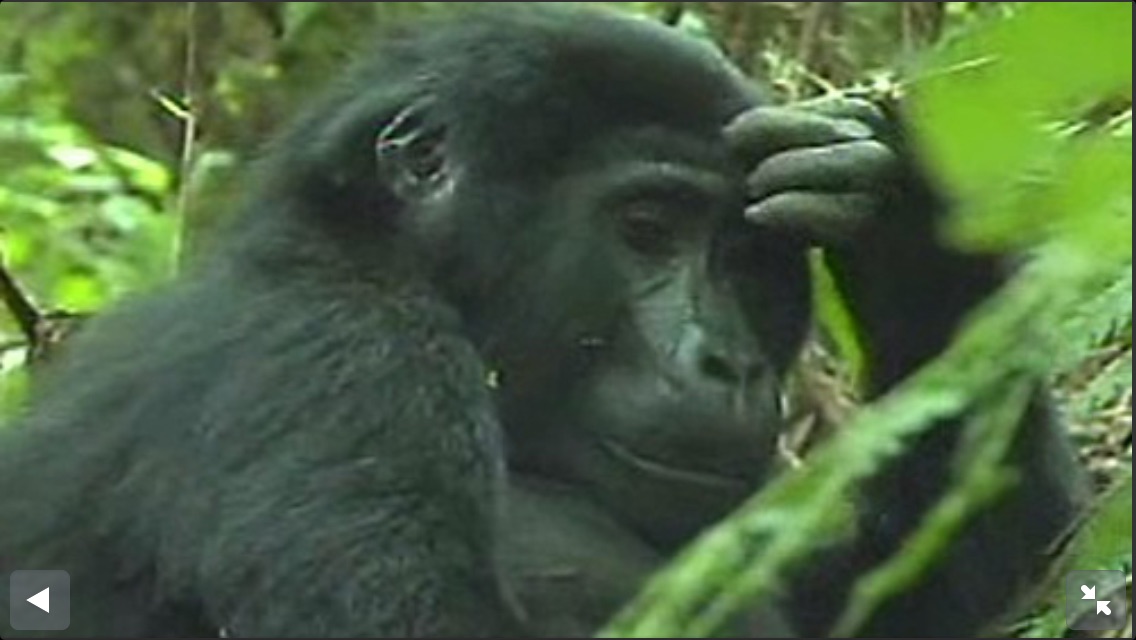 포스트의 이미지