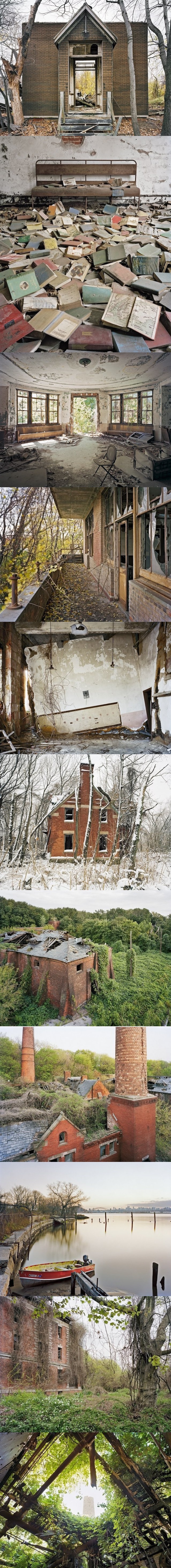 포스트의 이미지