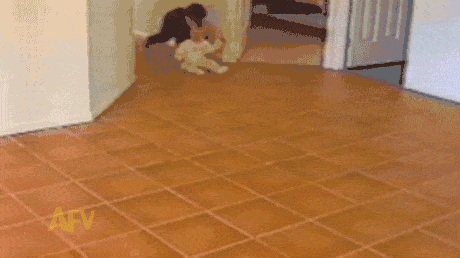 포스트의 이미지