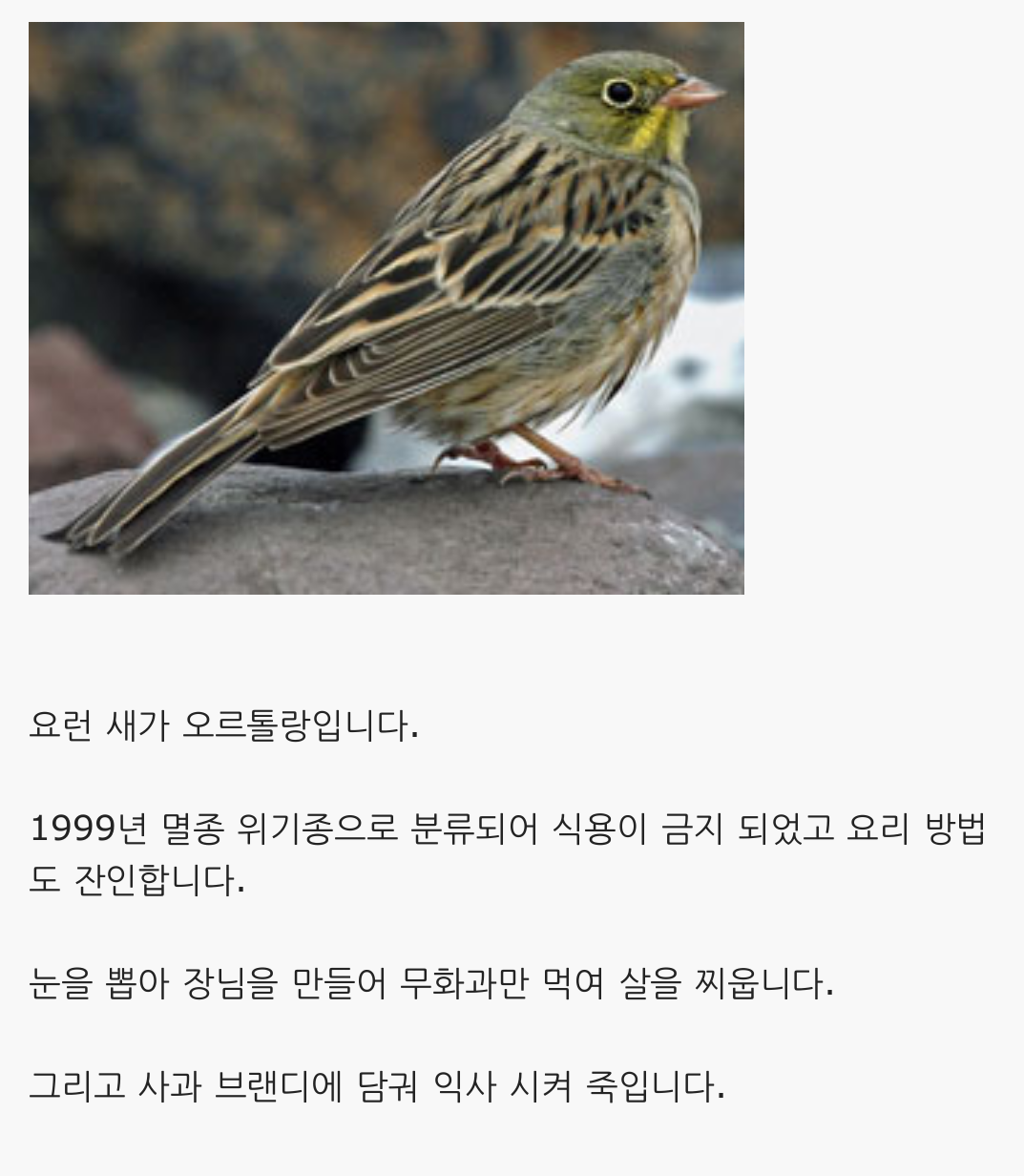 포스트의 이미지