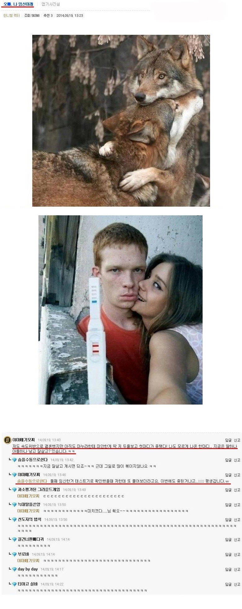 포스트의 이미지