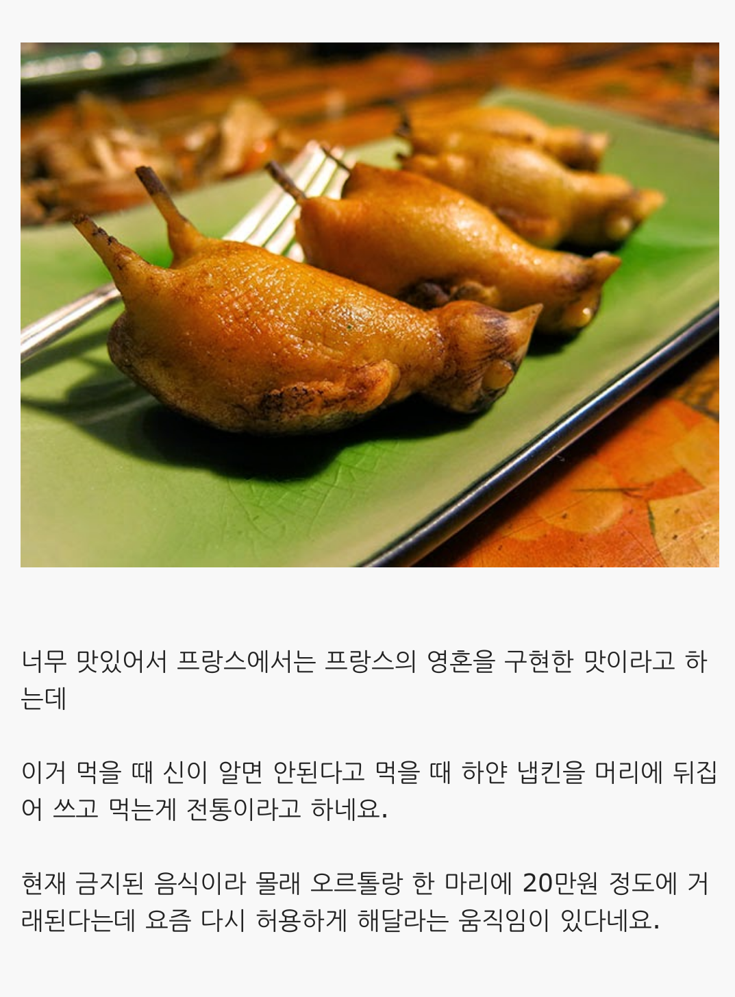 포스트의 이미지